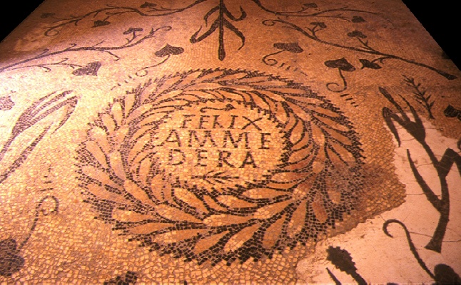 Mosaico dedicato ad Ammaedara città Felix