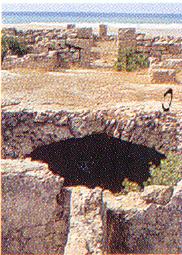Cotta: resti della citt romana