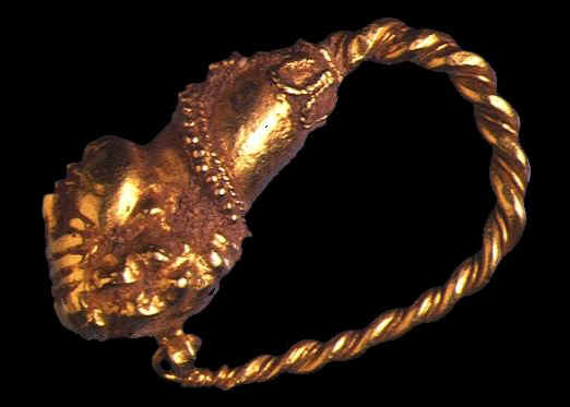 Leptiminus: boccolo d'oro