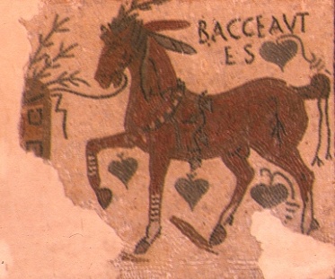 Cavallo in elegante movenza