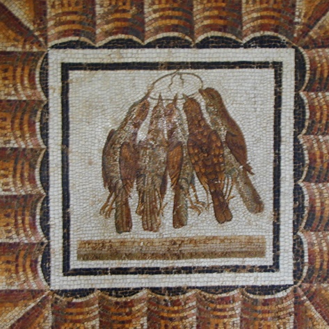 Mosaico con un insieme di uccelli catturati, al Museo del Bardo