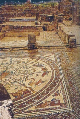 La Casa di orfeo