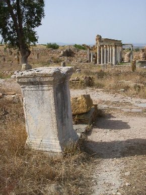 La Palestra di Petronio sullo sfondo