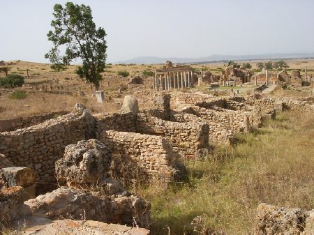 Resti di abitazioni con sullo sfondo la palestra di Petronio Felix