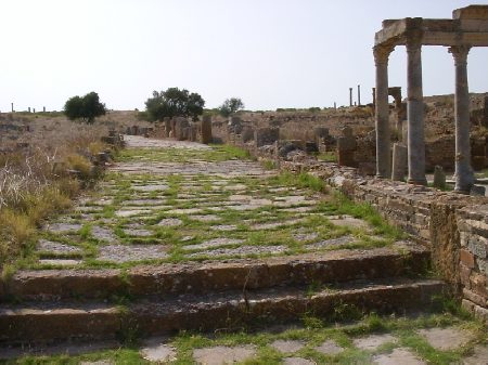 La strada che passa di fianco ai resti della magnifica palestra di Petronio Felix