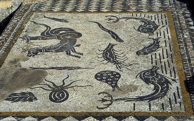 Mosaico dei mostri marini nella Casa di Orfeo