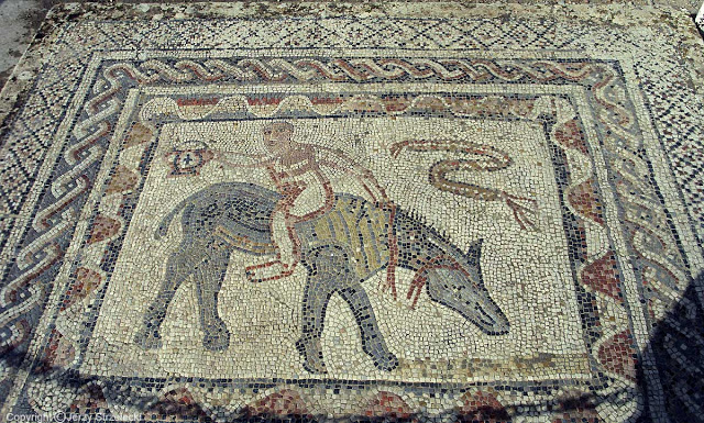 Mosaico dalla casa di acrobat