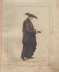 Ministro degli infermi