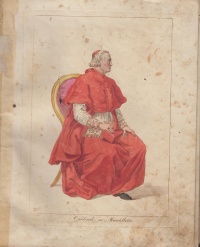 Cardinale in Mantelletta