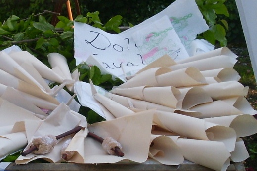 I dolci cavalè presentati durante la festa con il loro involucro