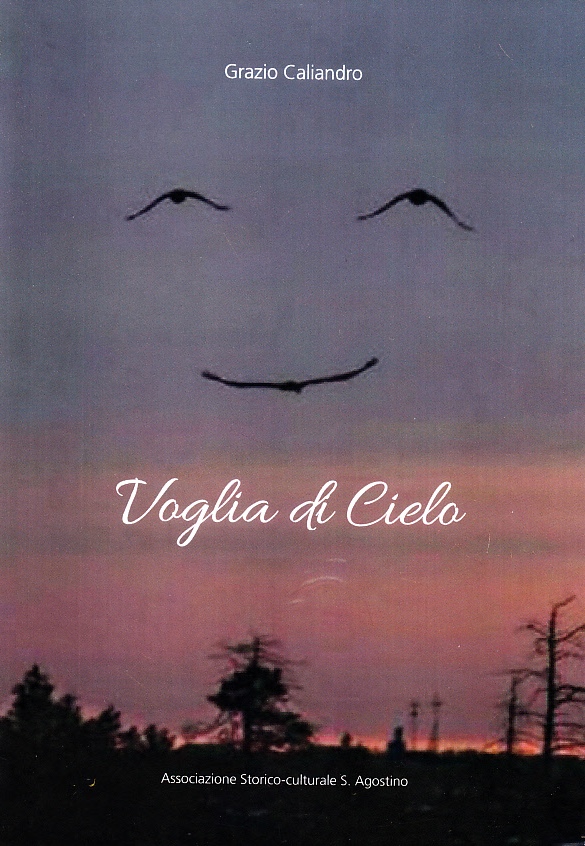  La copertina del volume 