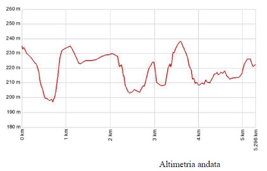 Grafico dei dislivelli del percorso