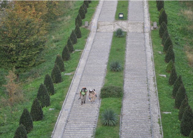 La scalinata che conduce al Santuario di Madonna del Bosco