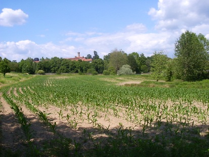 La chiesa di Cremella visti dalla campagna di Cassago