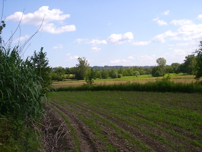 vista della campagna cassaghese