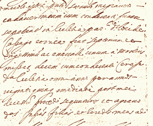 Codicillo del testamento di Andrea de Sapis