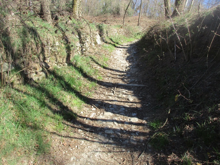 Strada campestre da Zizzanorre verso il Roccolo