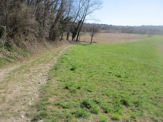 Strada di campagna nella piana di Oriano