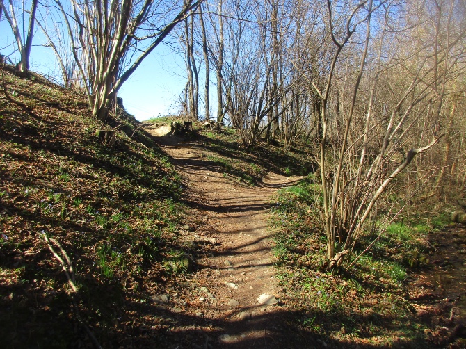 Sentiero nella campagna di Oriano