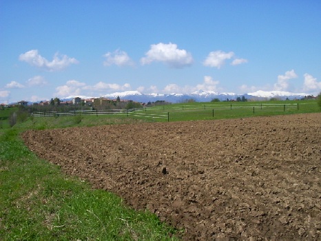 Immagine della campagna brianzola