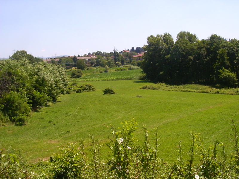 Prati della campagna di Cassago