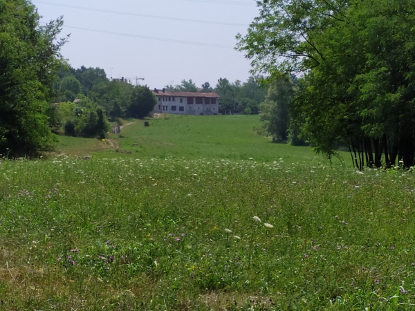 Prati e boschi nella zona della Costa a Cassago