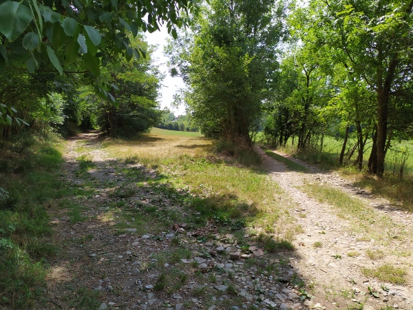 Bivio in una strada di campagna verso La Costa