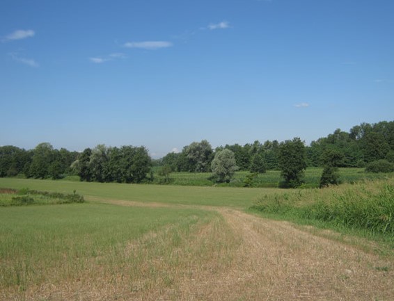 Campagna verso Cortenuova di Monticello