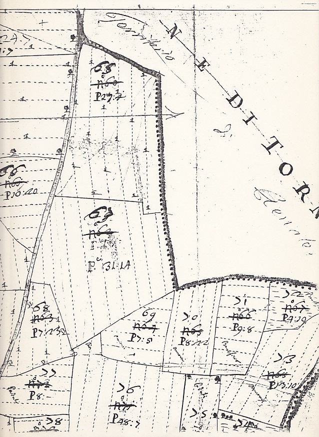 Parte della Mappa catastale teresiano di Oriano