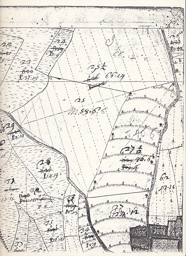 Parte della Mappa catastale teresiano di Oriano