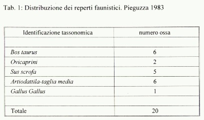 Tabella con la distribuzione dei reperti faunistici scoperti nella seconda vasca alla Pieguzza