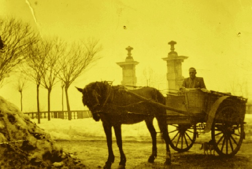 Carro con cavallo in inverno ai Campiasciutti