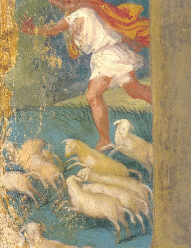 Il pastore scappa di fronte al porco selvatico infuriat