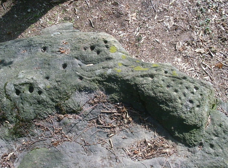 Immagine dei Massi coppellati a Consonno