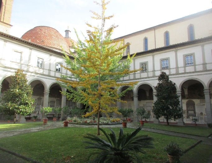 Chiostro della Chiesa agostiniana di Santo Spirito a Firenze