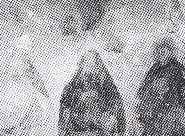 Agostino, Monica e Nicola da Tolentino