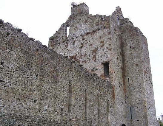 Particolare del monastero e della chiesa a Cahir
