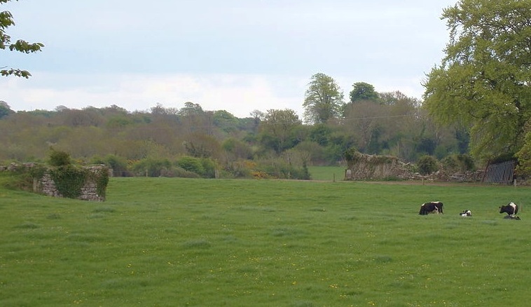 Particolare del monastero e della chiesa a Monisternagalliaghduff