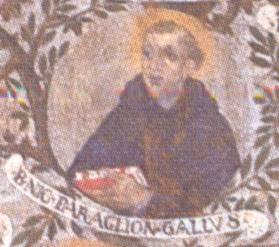 Immagine di Nicola Paraglione gallico