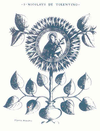 Stampa da un codice fiorentino di Pasini