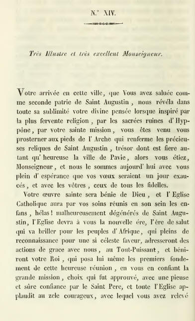 Documento numero XIV