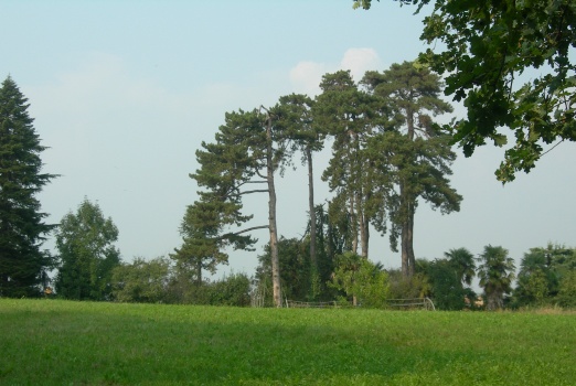 La campagna di rus Cassiciacum a Cassago Brianza